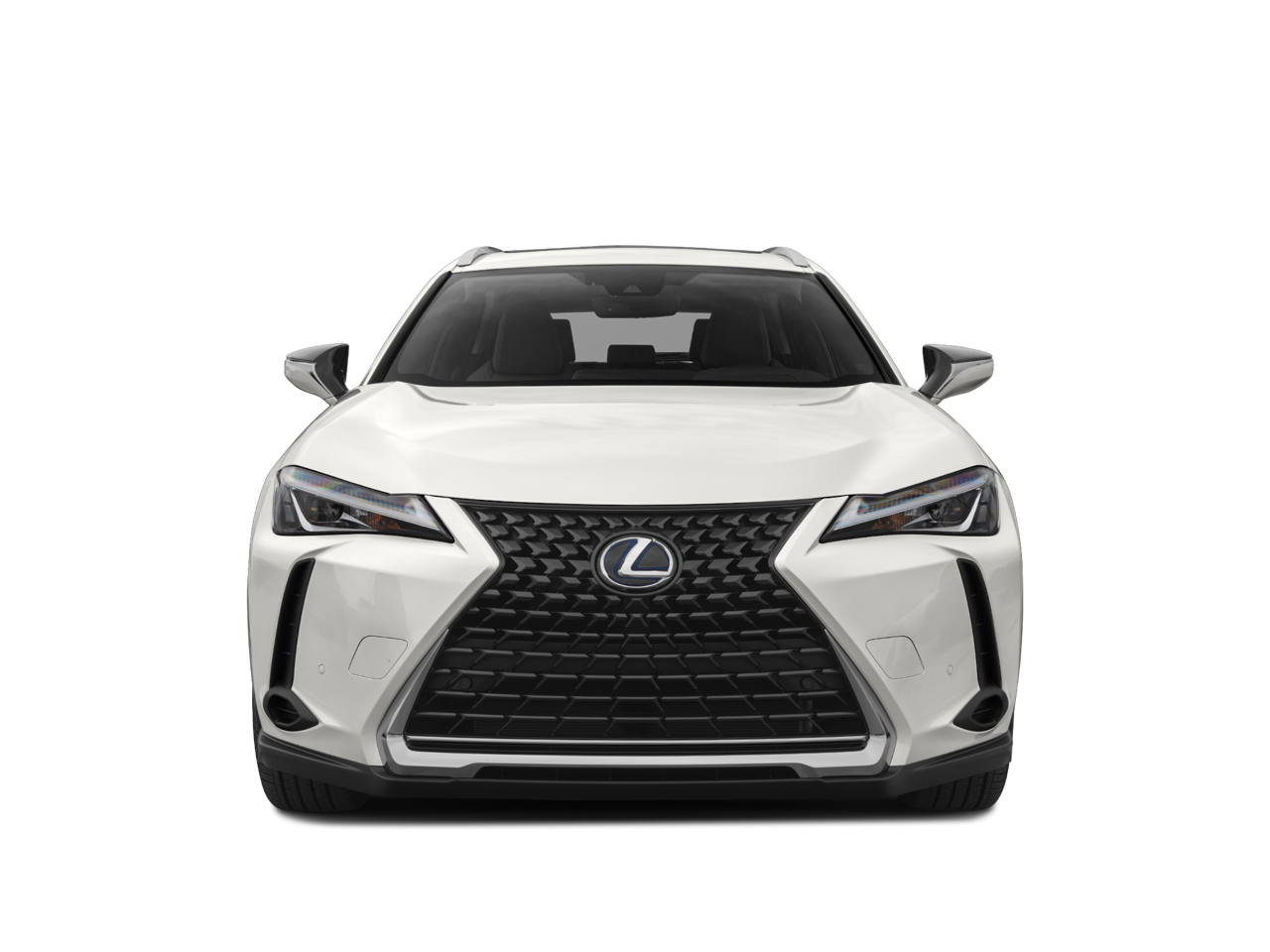 2021 Lexus UX UX 250h Premium AWD w/Sunroof