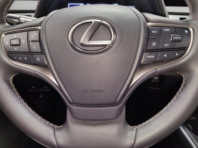 2021 Lexus UX UX 250h Premium AWD w/Sunroof